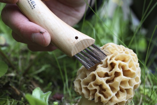 N°08 seente nuga, roostevaba teras, 8 cm - Opinel