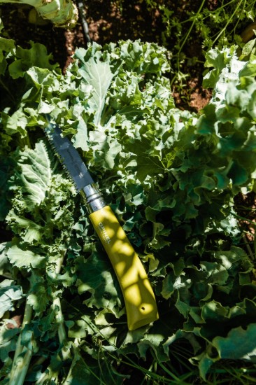 3-teiliges Gartenmesserset, Edelstahl - Opinel