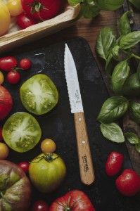 Coltello N°113 lama seghettata, acciaio inossidabile, 10 cm, "Les Essentiels" - Opinel