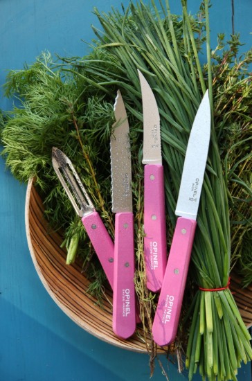 N°112 mes voor het schillen van groenten en fruit, roestvrij staal, 10 cm, "Les Essentiels", Fuchsia - Opinel