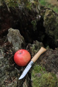 N°08 zakmes, roestvrij staal, 8,5 cm, "Tradition Luxe", Oak - Opinel