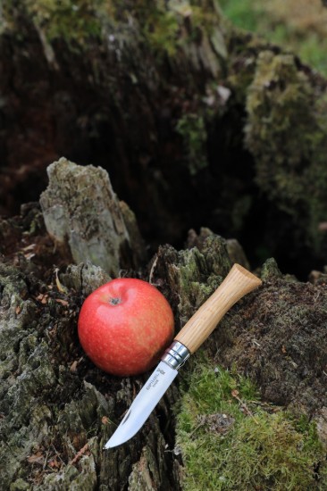 N°08 lommekniv, rustfritt stål, 8,5 cm, "Tradition Luxe", Oak - Opinel
