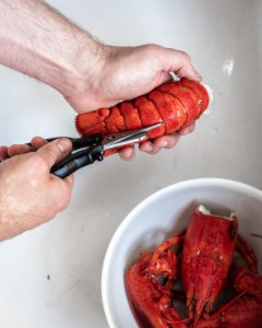 Forbici per frutti di mare, 20,7 cm - marchio "de Buyer".
