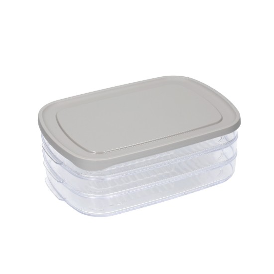 Unterteilte Lebensmittelaufbewahrungsbox, Kunststoff, 23 x 16 cm, „Master Class“ – Kitchen Craft