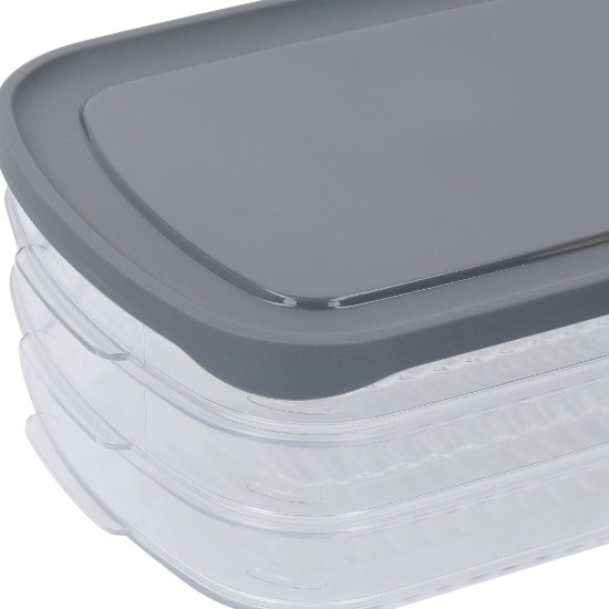 Unterteilte Lebensmittelaufbewahrungsbox, Kunststoff, 23 x 16 cm, „Master Class“ – Kitchen Craft