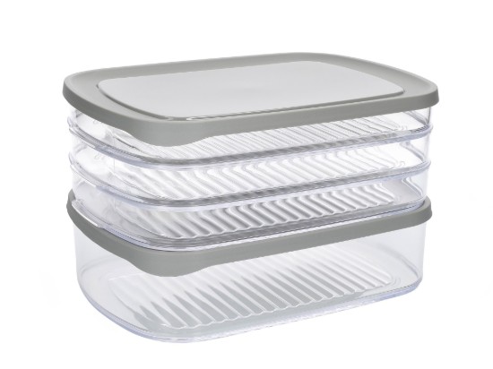 Unterteilte Lebensmittelaufbewahrungsbox, Kunststoff, 23 x 16 cm, „Master Class“ – Kitchen Craft