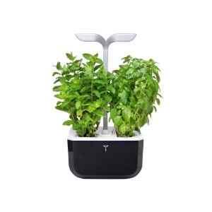 Fioriera Exky "SMART Garden", Soft Black - Veritable