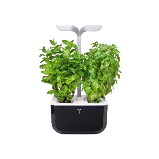 Exky plantenbak "SMART Garden", Soft Black - Veritable