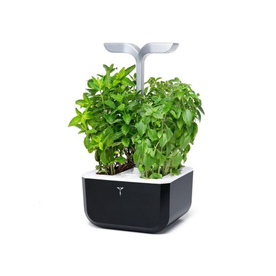 Exky plantenbak "SMART Garden", Soft Black - Veritable