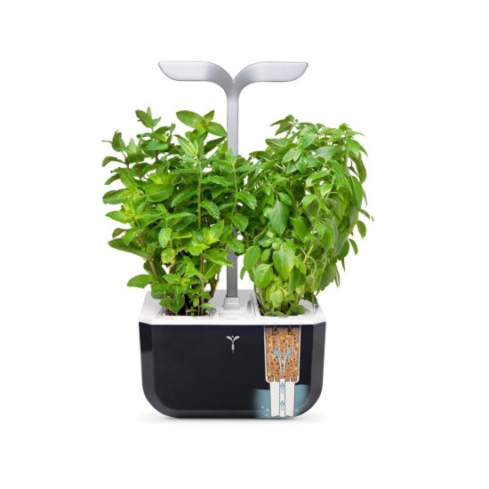 Exky plantenbak "SMART Garden", Soft Black - Veritable
