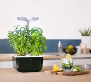 Fioriera Exky "SMART Garden", Soft Black - Veritable