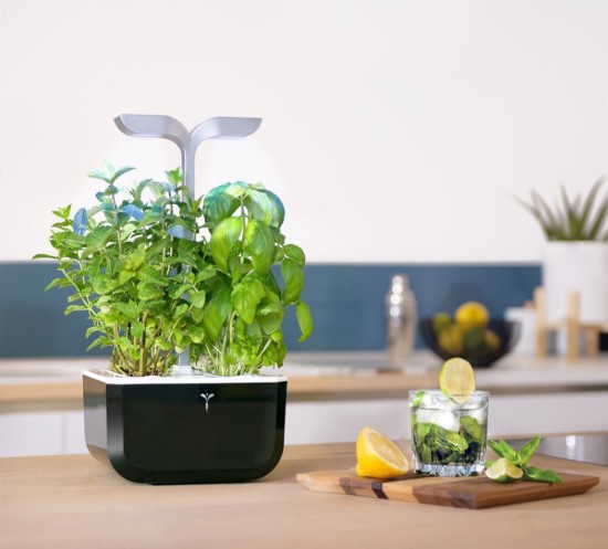 Exky plantenbak "SMART Garden", Soft Black - Veritable