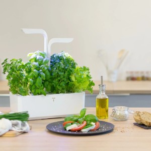 Fioriera, "CLASSIC Garden", 33 x 18,5 x 45 cm, Arctic White - Veritable