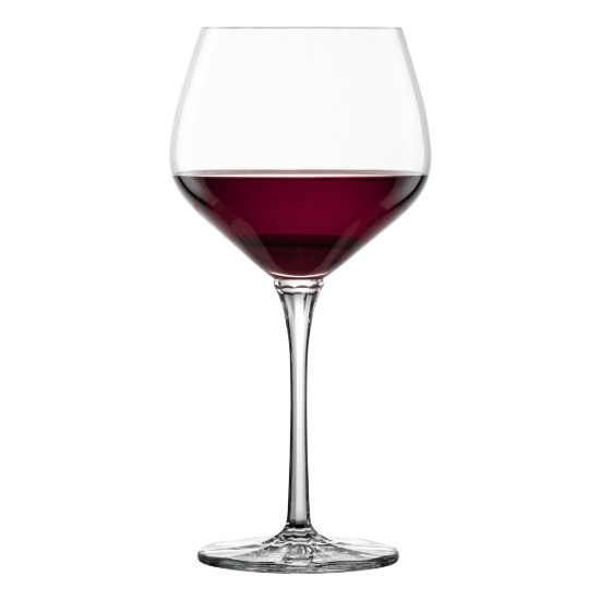 Set di 2 bicchieri da vino rosso Borgogna, 607 ml, linea Roulette - Schott Zwiesel