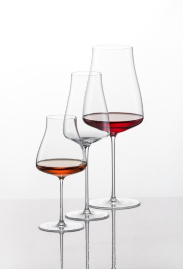 Set di bicchieri da champagne da 6 pezzi, vetro cristallino, 312ml, "The Moment" - Schott Zwiesel