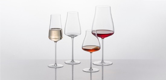 Set di bicchieri da champagne da 6 pezzi, vetro cristallino, 312ml, "The Moment" - Schott Zwiesel