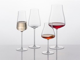 Immagine per la categoria The Moment