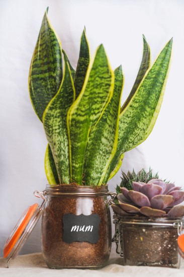 Pot gemaakt van glas, 750 ml - gemaakt door Kitchen Craft
