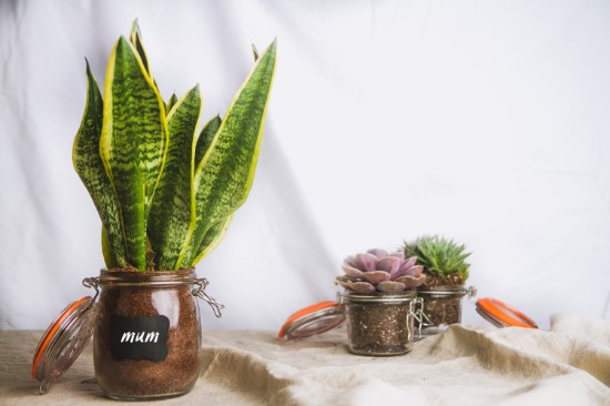 Pot gemaakt van glas, 750 ml - gemaakt door Kitchen Craft