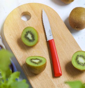 Coltello N°313 a lama seghettata, acciaio inox, 10 cm, "Les Essentiels", Red - Opinel