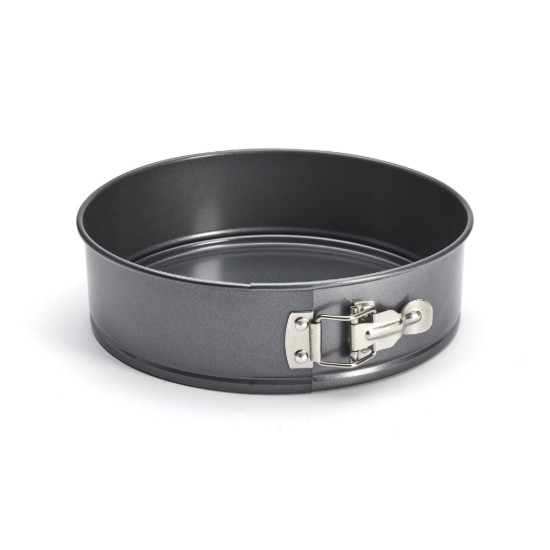 Bakvorm, staal, 24 cm - de Buyer