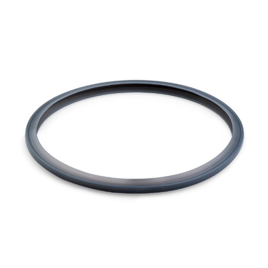 Guarnizione per pentola a pressione Facile/Tekna, silicone, 22 cm - BRA