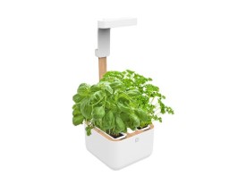 Immagine per la categoria Fioriere "BOTANEO".