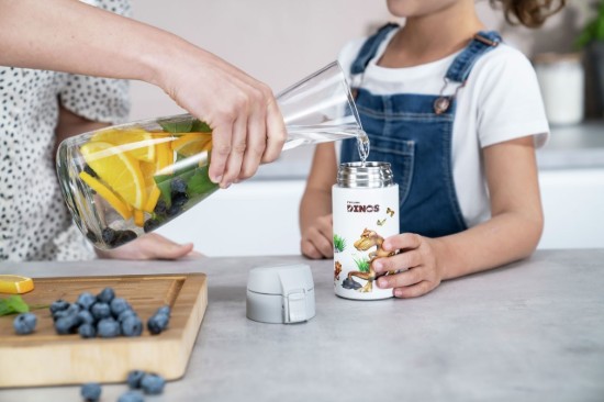 Drinking bottle for kids, stainless steel, 350ml, "Dinos", White-Grey - Zwilling