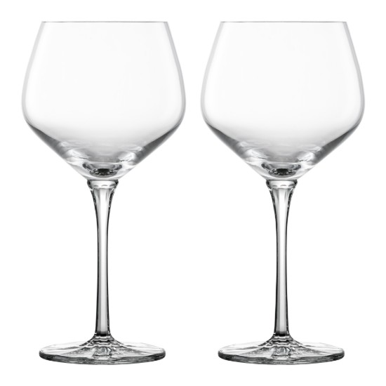 Set di 2 bicchieri da vino rosso Borgogna, 607 ml, linea Roulette - Schott Zwiesel