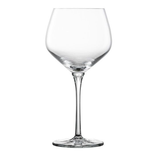 Set di 2 bicchieri da vino rosso Borgogna, 607 ml, linea Roulette - Schott Zwiesel