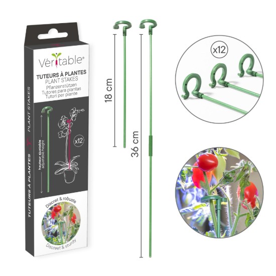 12-osaline taimevaiade komplekt, klaaskiud - Veritable