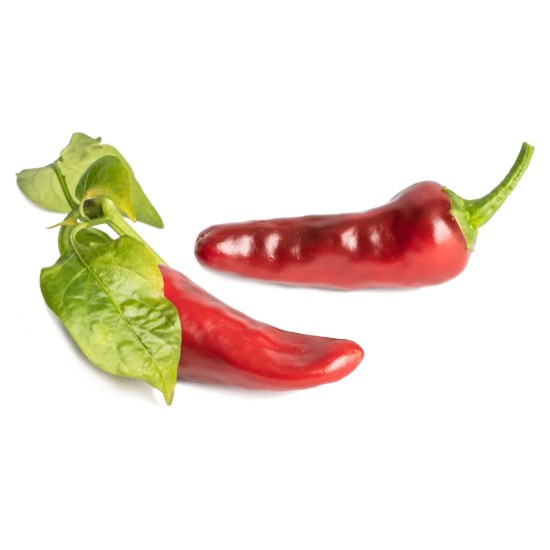 Confezione di semi di peperoncino di Espelette, 'Lingot' - Veritable