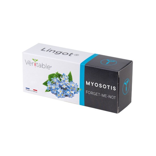 Paquet de graines de myosotis (Myosotis), 'Lingot' - Veritable