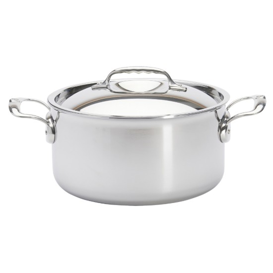 "Affinity" saucepan with  lid, 24 cm / 5.4 l, stainless steel - "de Buyer" brand
