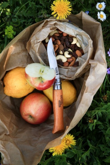 N°09 zakmes, koolstofstaal, 9cm, "Carbone" - Opinel