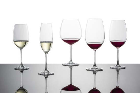 Set di 6 bicchieri da vino Borgogna, vetro cristallino, Ivento, 783 ml - Schott Zwiesel