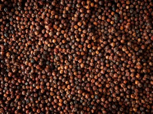 Set di 3 bustine di pepe rosso di Kampot, 3 × 20g, "SPICES" - Peugeot